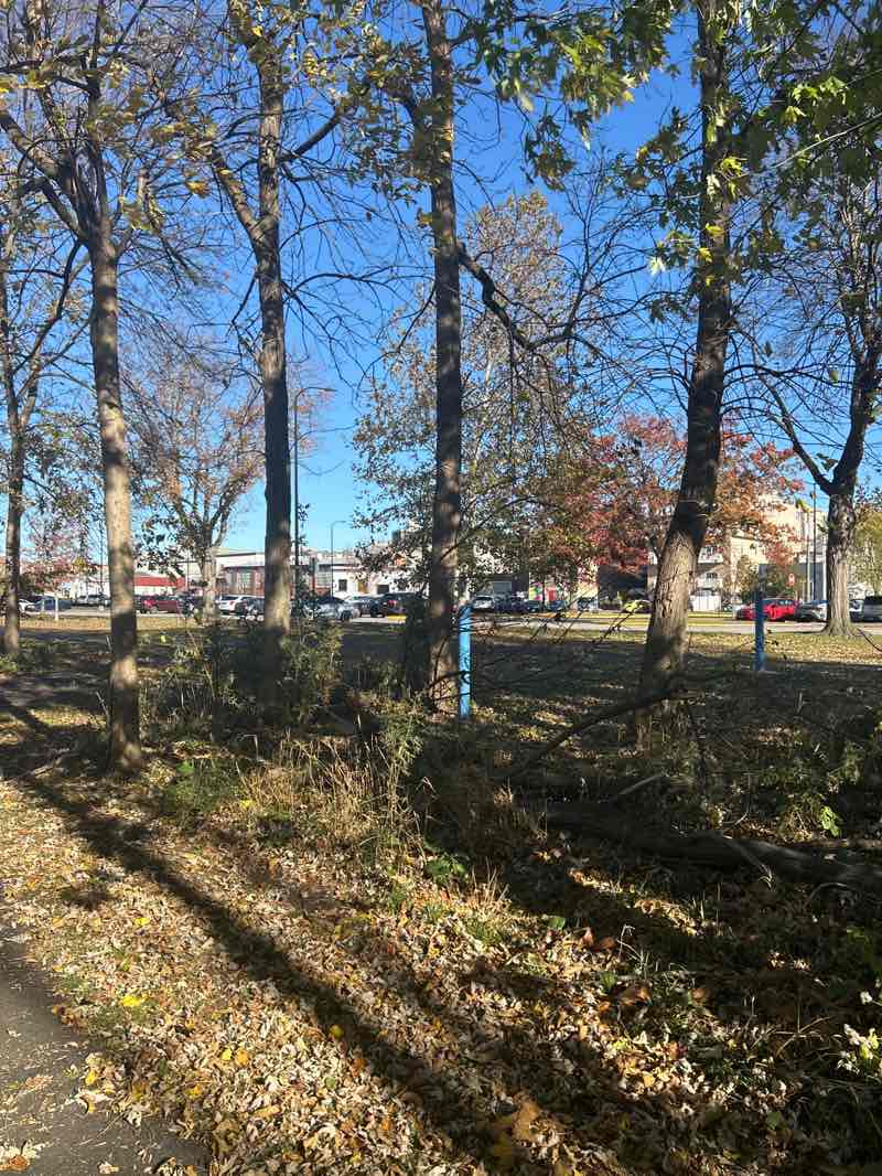 walking near me in Bristol Waterfront Park in autumn