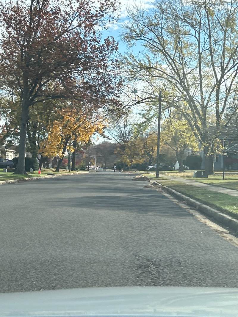 walking near me in Virginia Lane Park in autumn