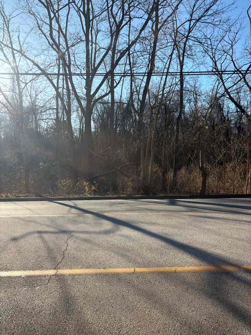 walking near me in Abington Township Bird Sanctuary in winter