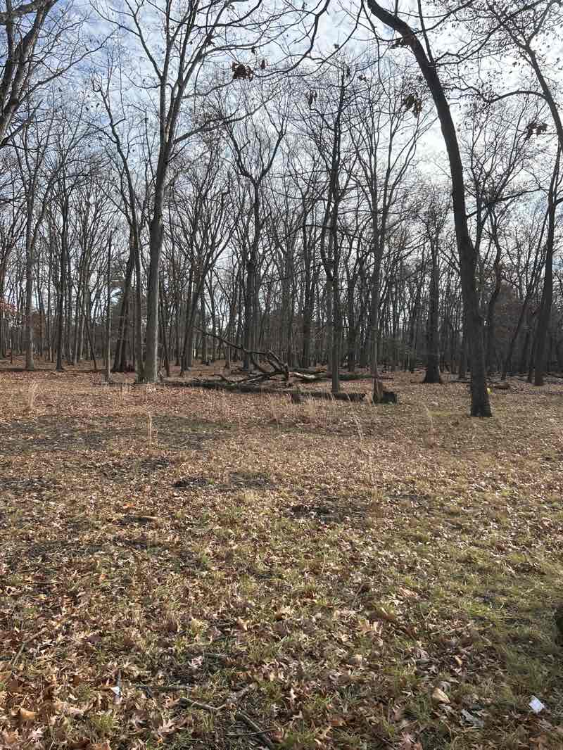 walking near me in Mill Creek Park in winter
