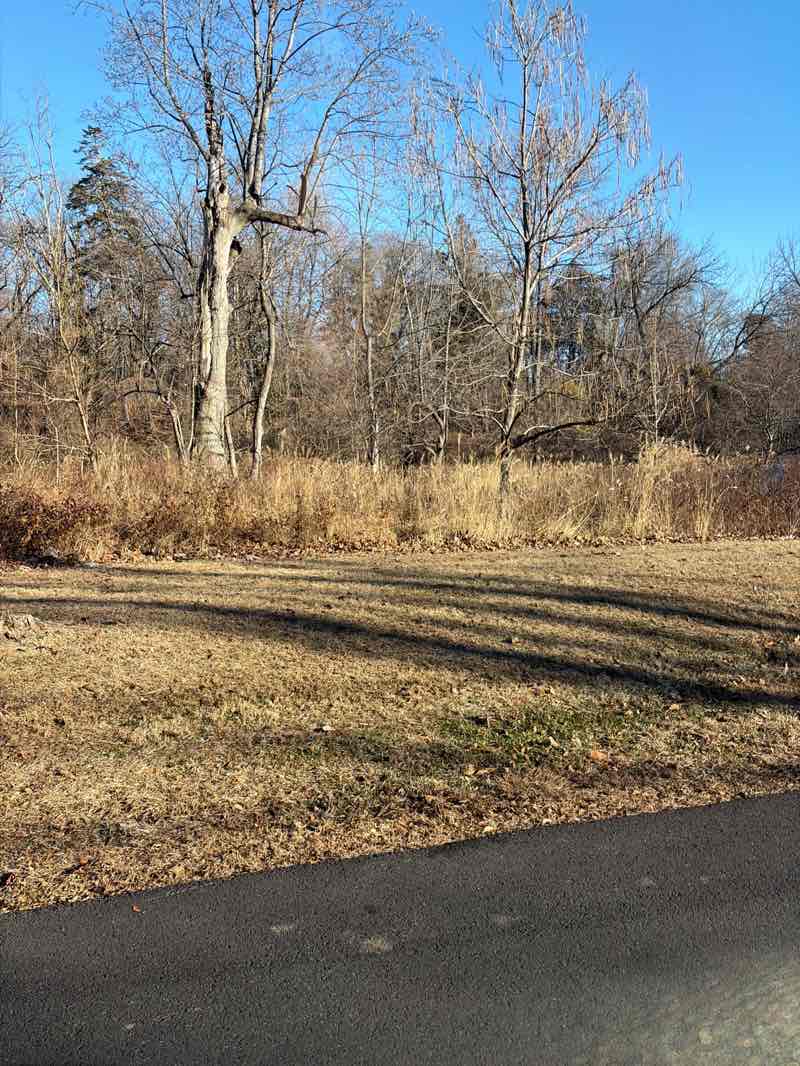 walking near me in Jackson Park in winter