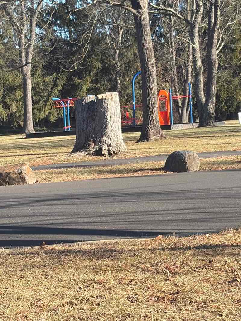 walking near me in Pileggi Park in winter