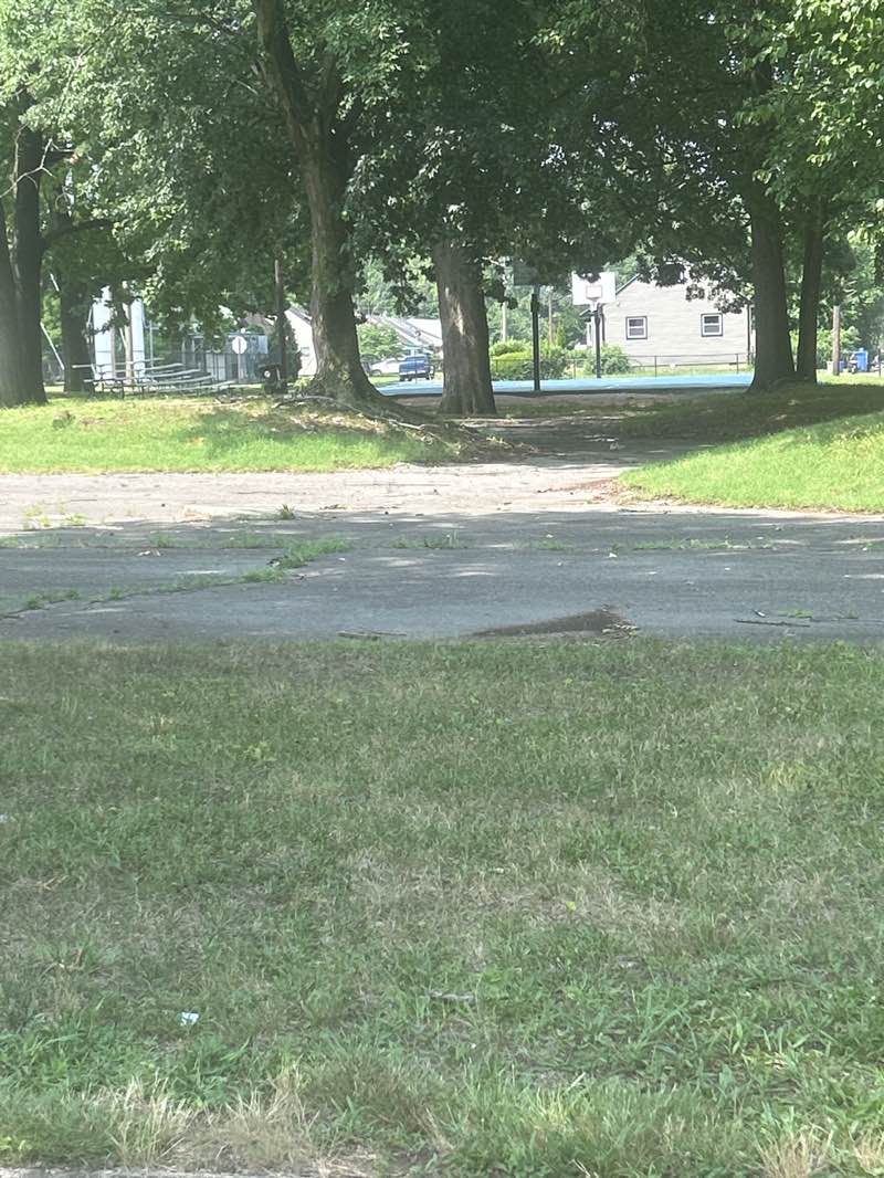 walking near me in Walnut Ave Park in summer