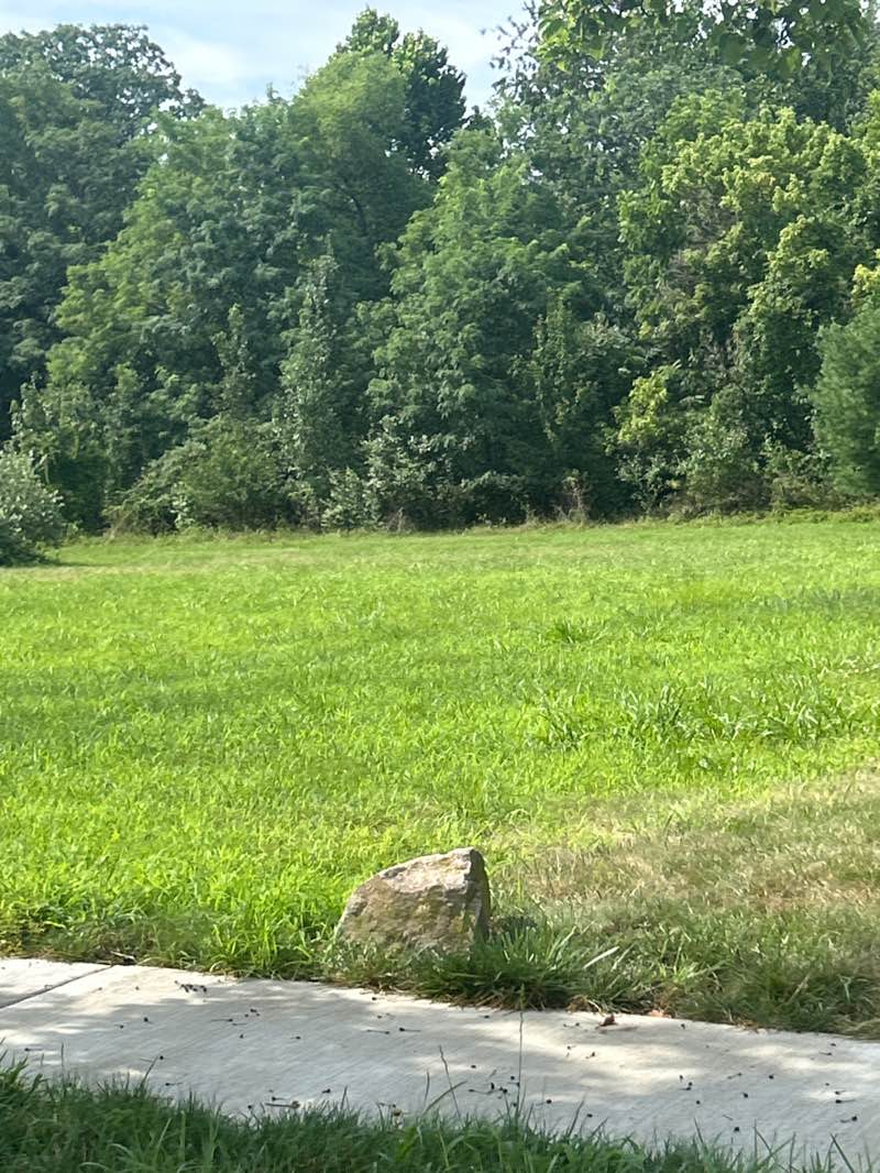 walking near me in Dollarton Park in autumn