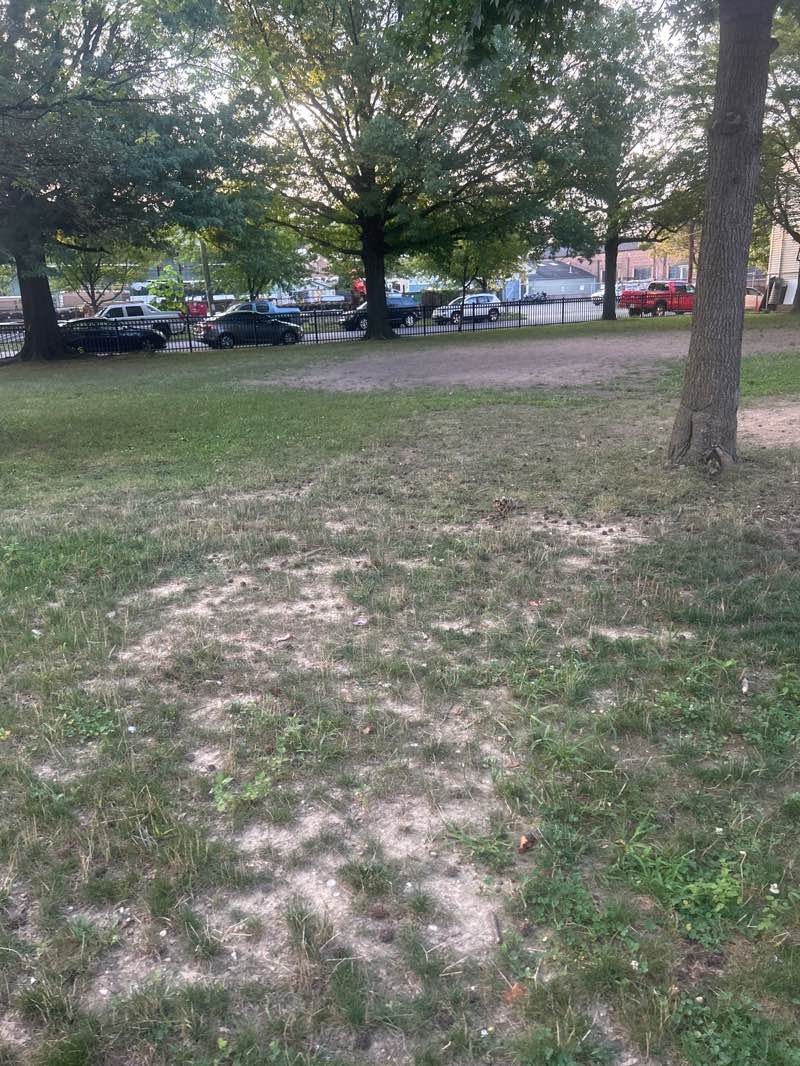 walking near me in John Beech Park in autumn