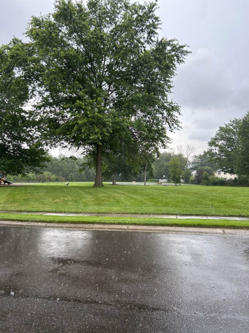 walking near me in Cambridge Park in autumn