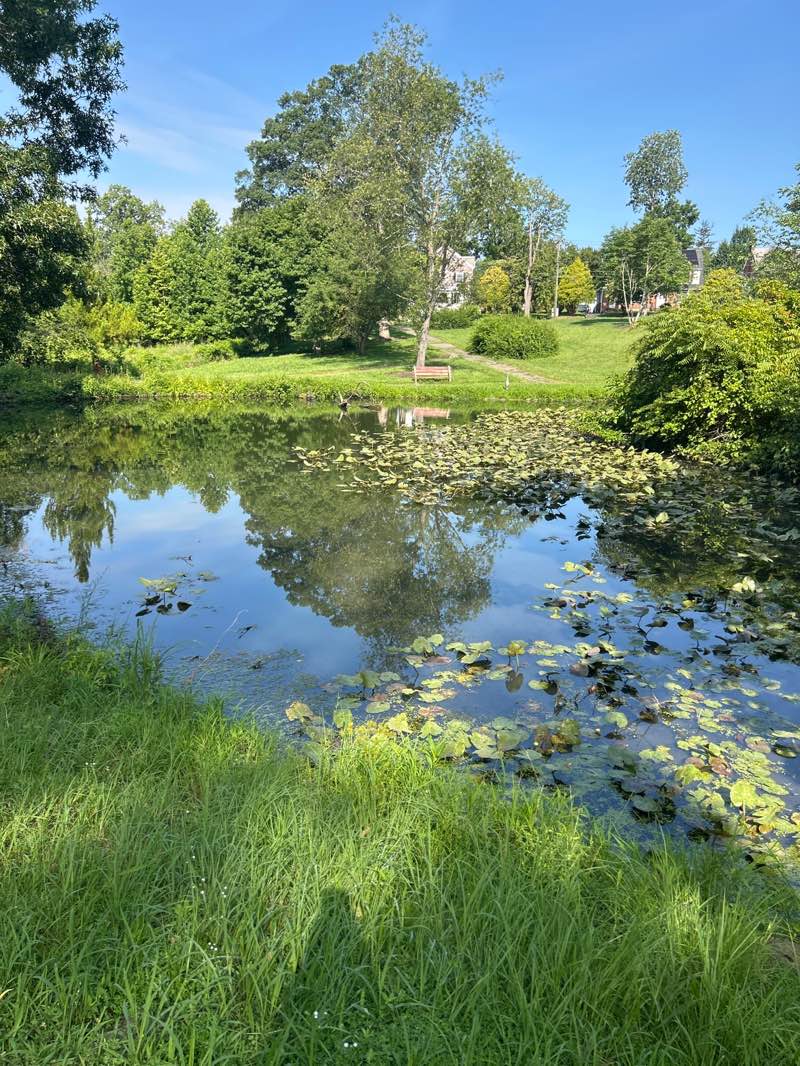 walking near me in Cadwalader Park in autumn