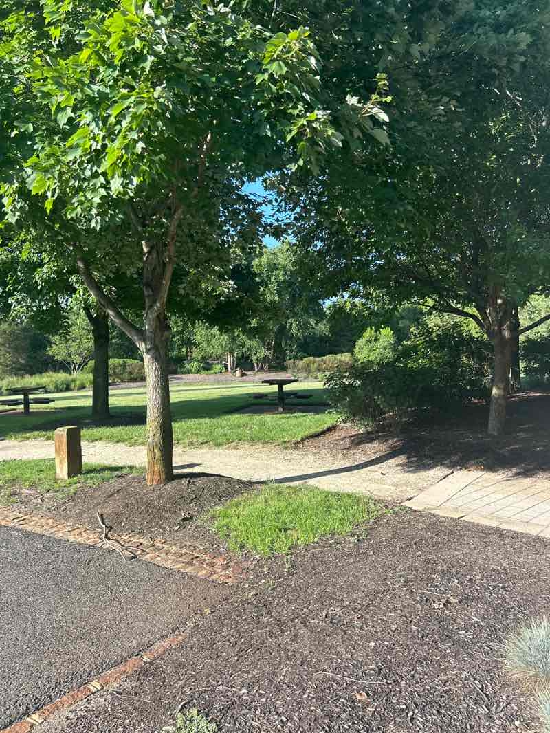 walking near me in Boundary Creek Park in summer