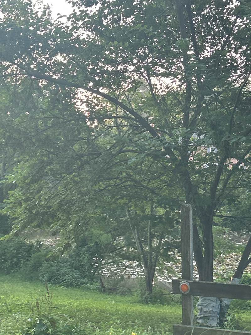 walking near me in Woolman Lake Park in autumn