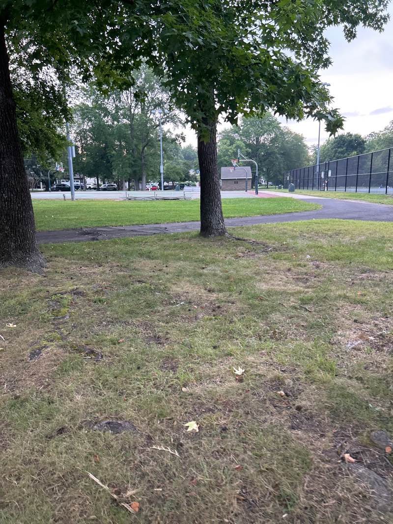 walking near me in Maple Dawson Park in autumn