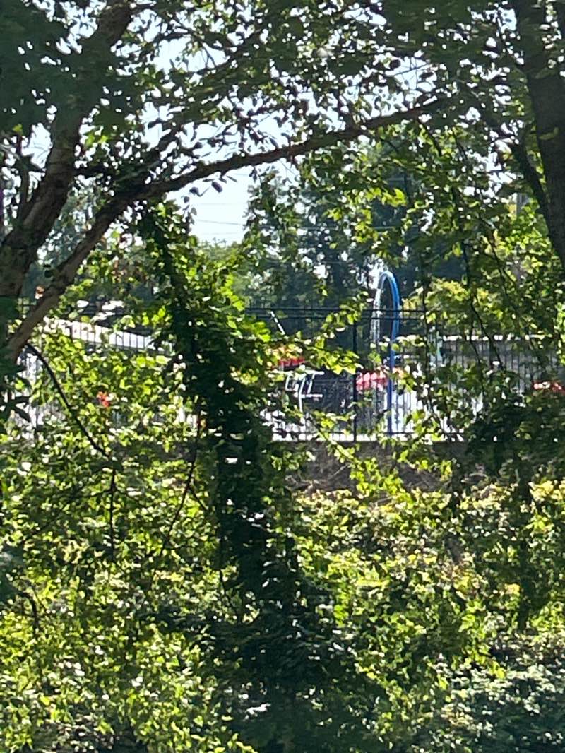 walking near me in Hetzel Field in autumn