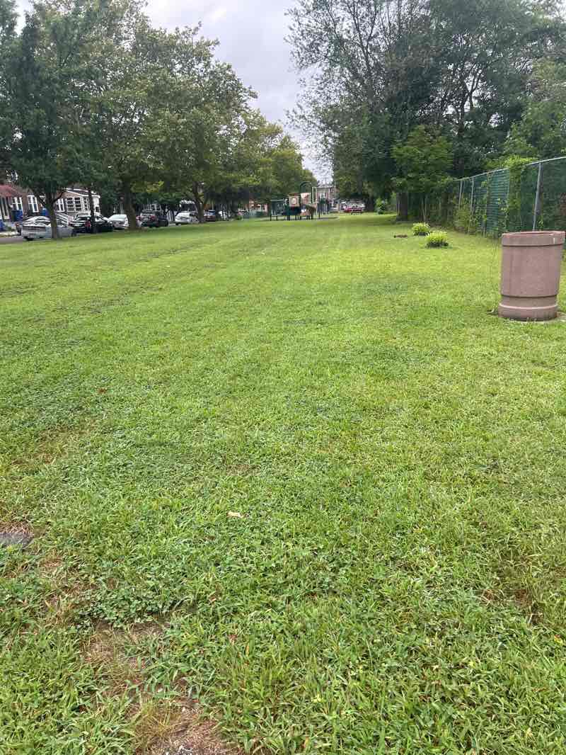 walking near me in Railroad Park in autumn