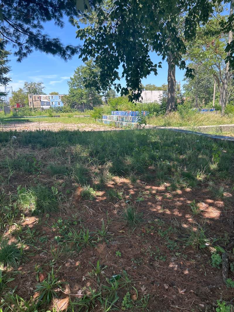 walking near me in Northgate II Park in autumn