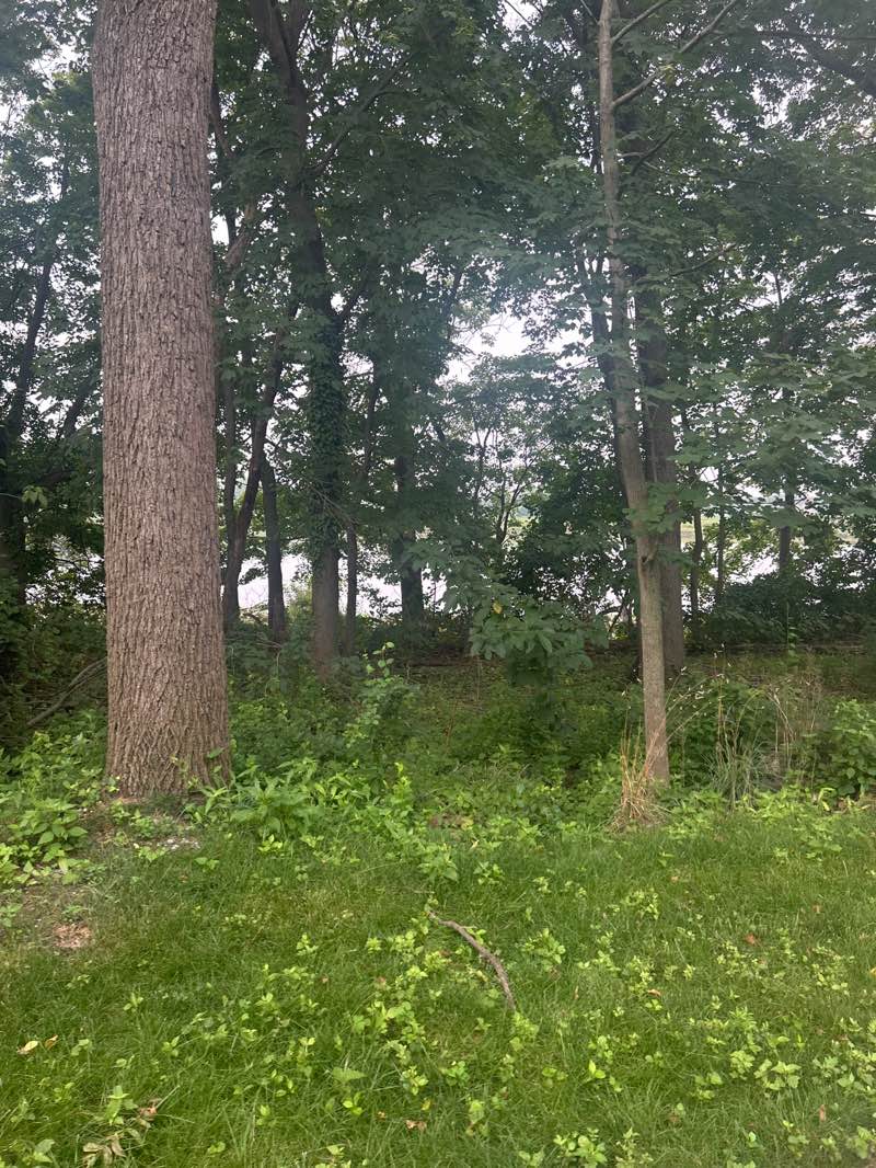 walking near me in Pennington Park in autumn