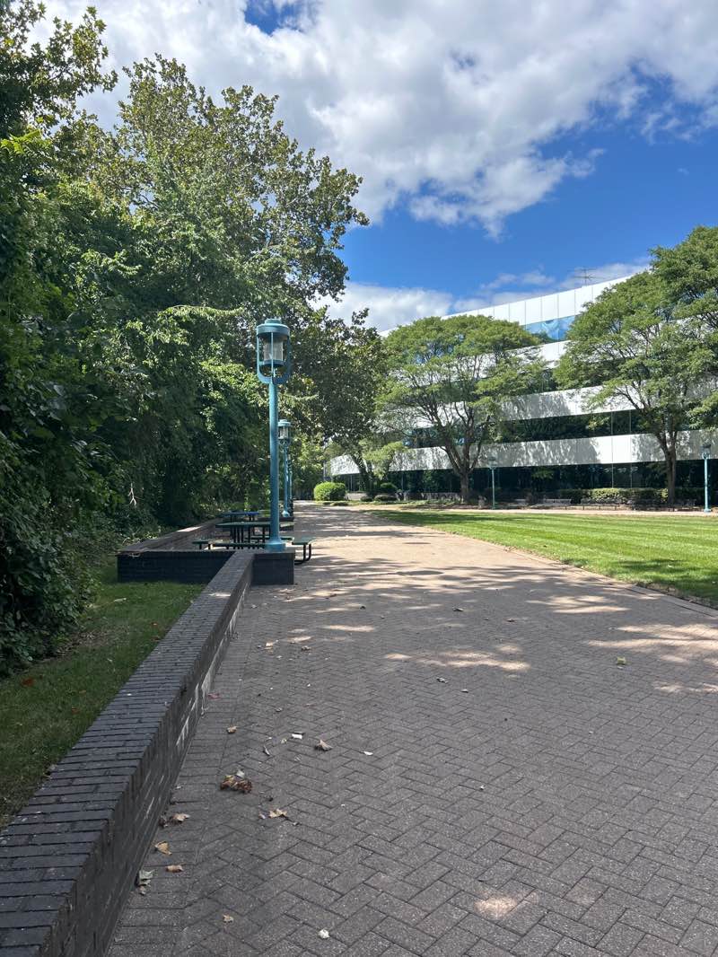 walking near me in Waterfront Park in autumn