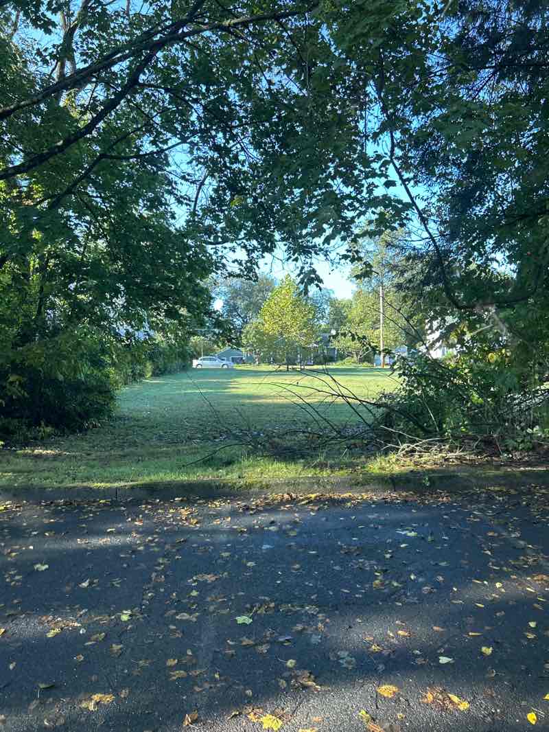 walking near me in Fitzgerald Field in autumn