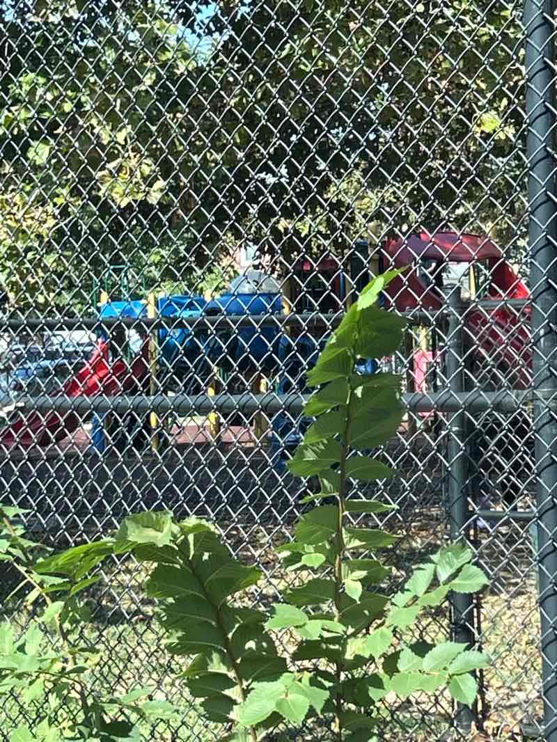 walking near me in Second Street Park in autumn