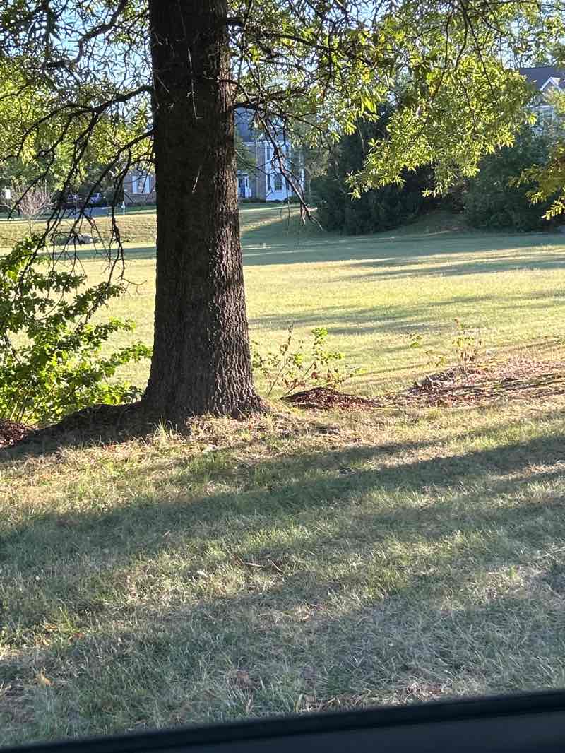 walking near me in Deerbrook Square in autumn