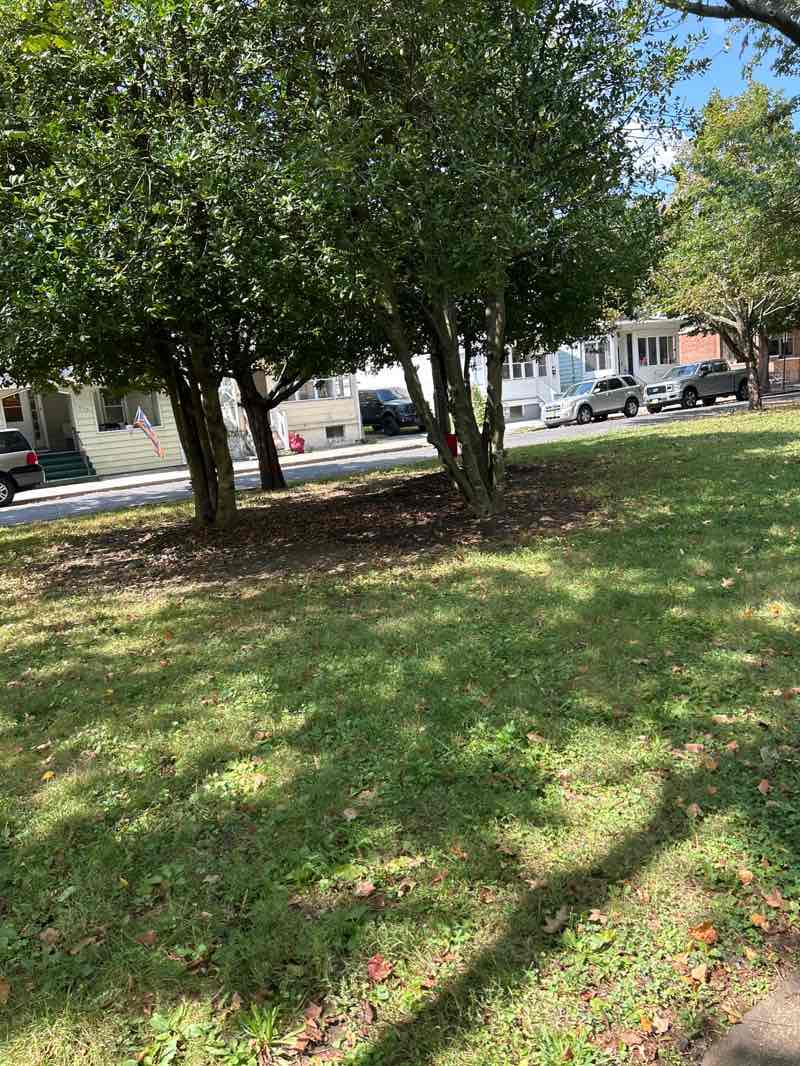 walking near me in Villa Park in autumn