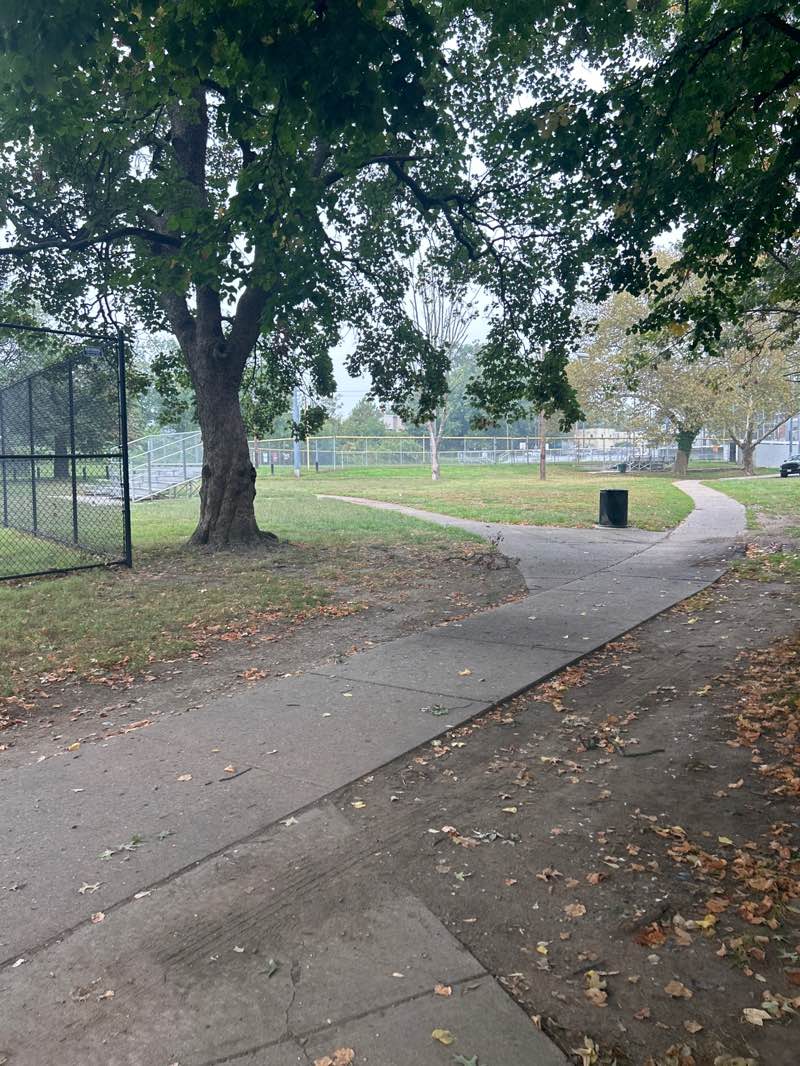 walking near me in Martin Luther King Park in autumn