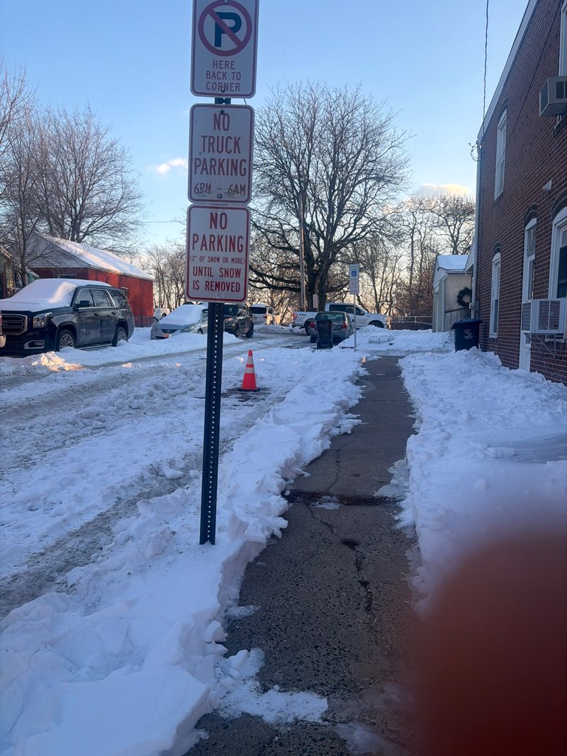 walking near me in McCann Park in winter