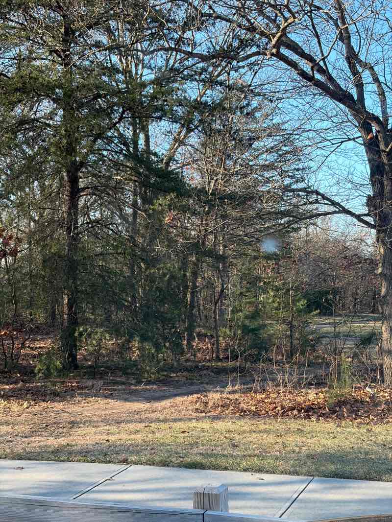 walking near me in Willingboro Lakes Park in winter