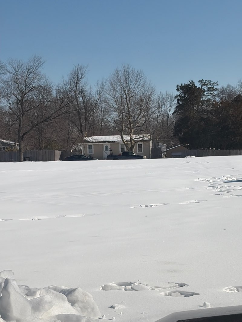 walking near me in Myrtle Ave Park in winter