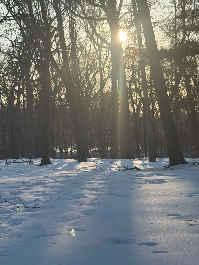 walking near me in Albertson Memorial Park in winter