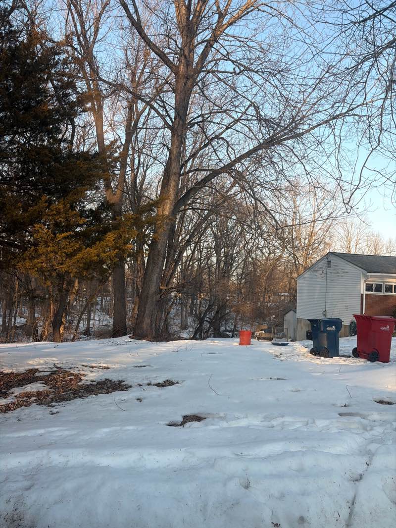 walking near me in Nature Trail Park in winter