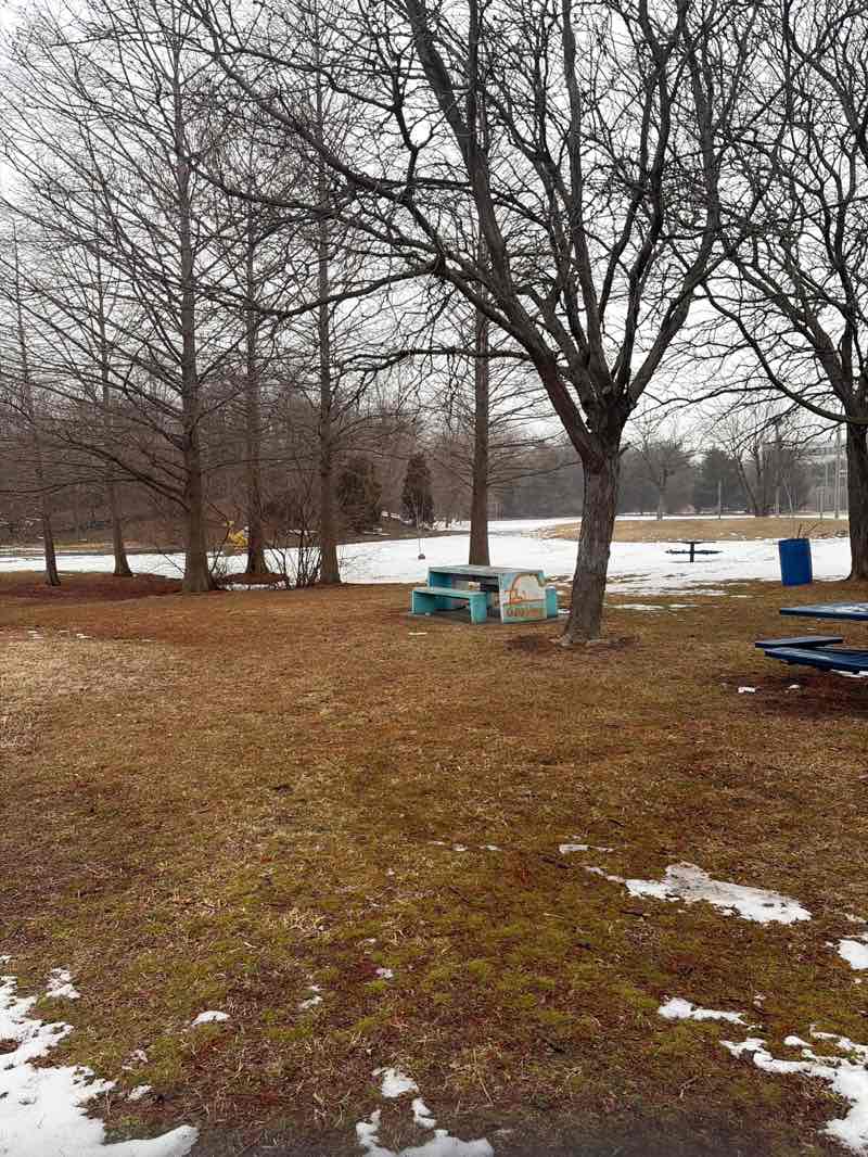 walking near me in Liney Ditch Park in winter