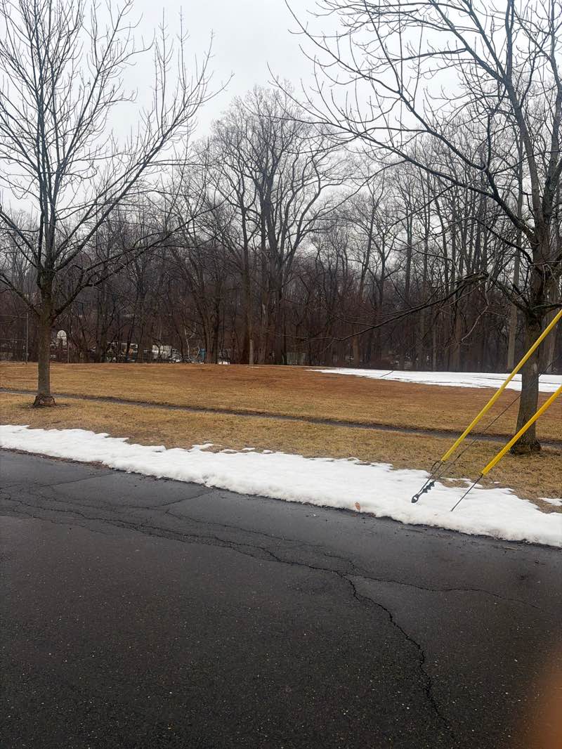 walking near me in Chestnut Avenue Park in spring