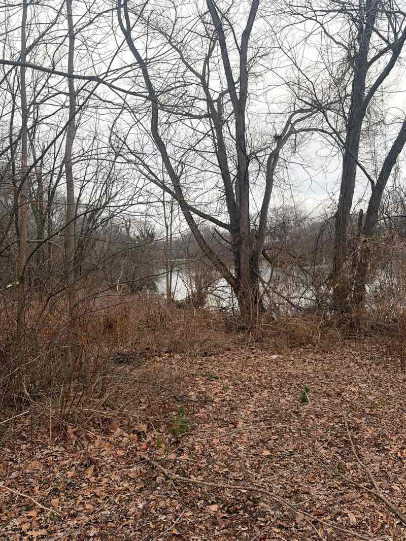 walking near me in Newton Creek Park in spring