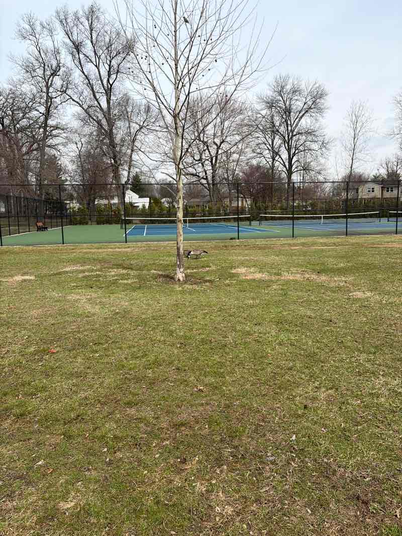 walking near me in Lower Moreland Park in spring