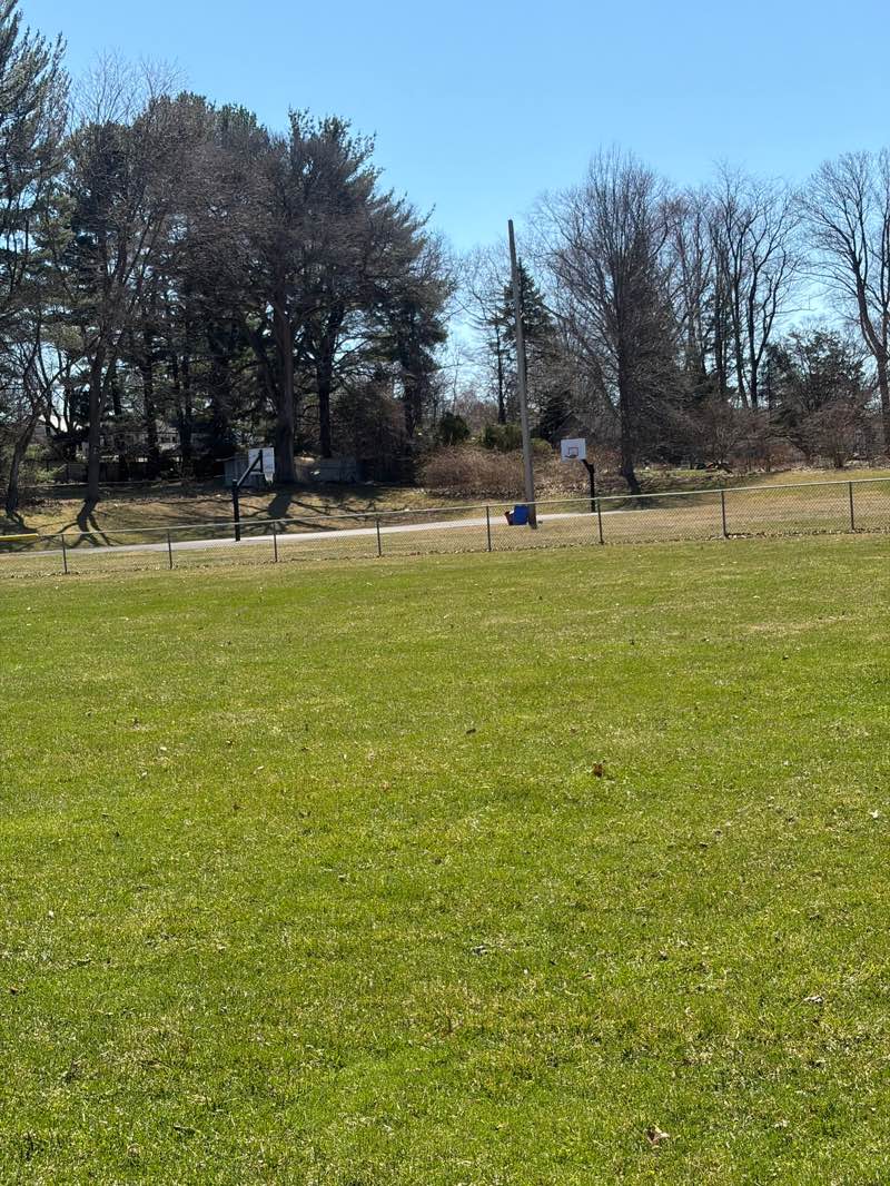 walking near me in H.W. Fritz Park in spring