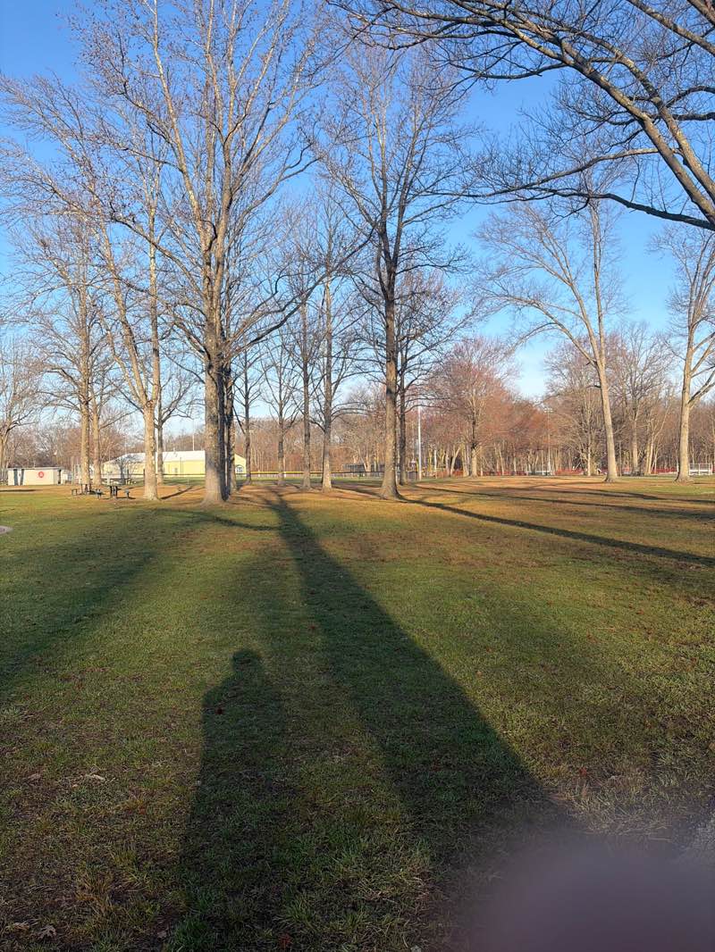walking near me in Central Park in spring
