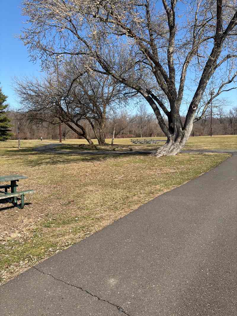 walking near me in Village Park in spring