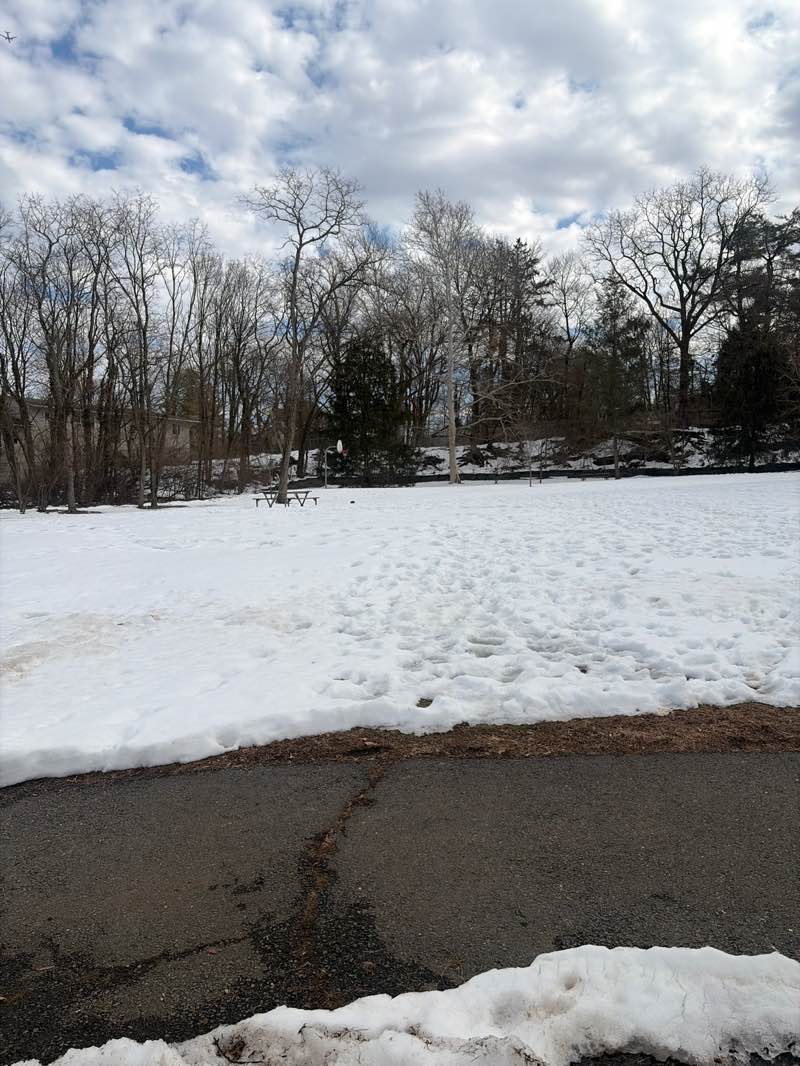 walking near me in Quarry Park in spring