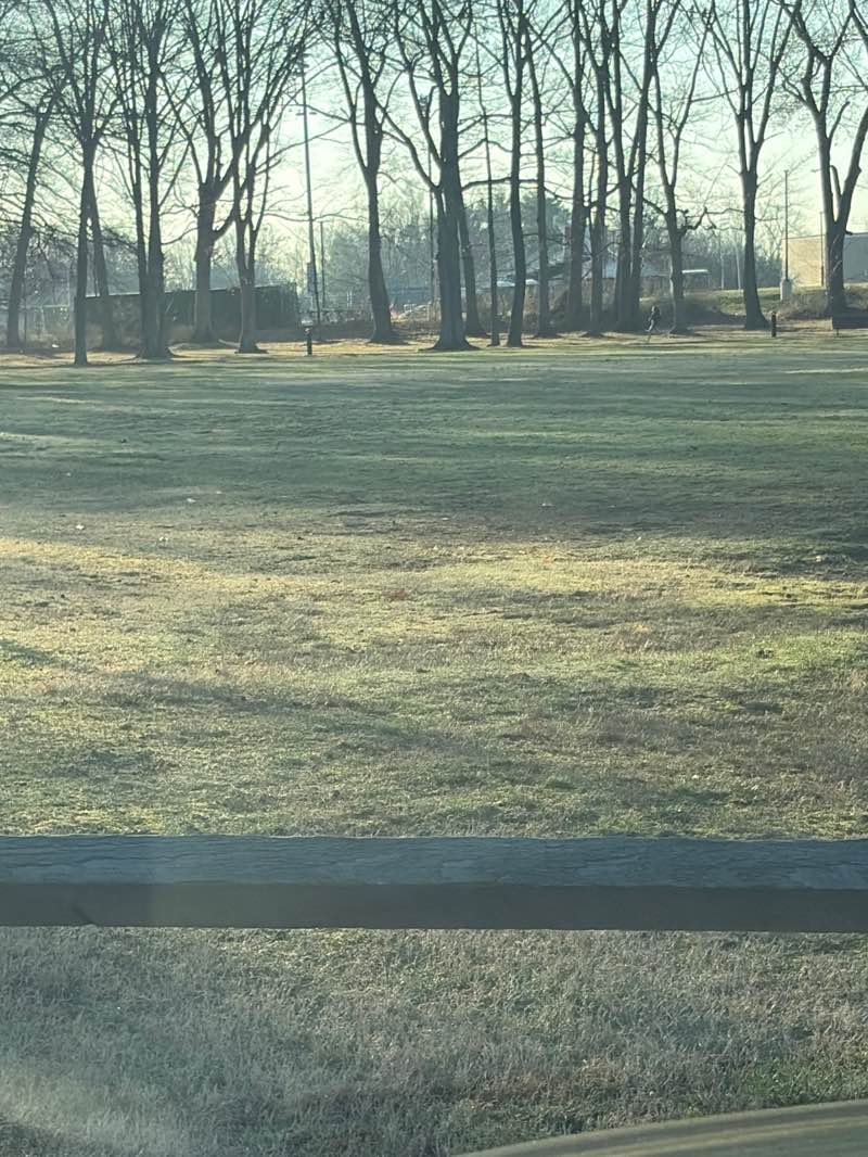 walking near me in Veterans Park in spring