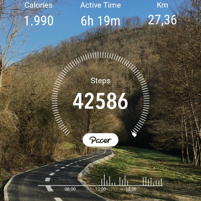 Elite Ema post image