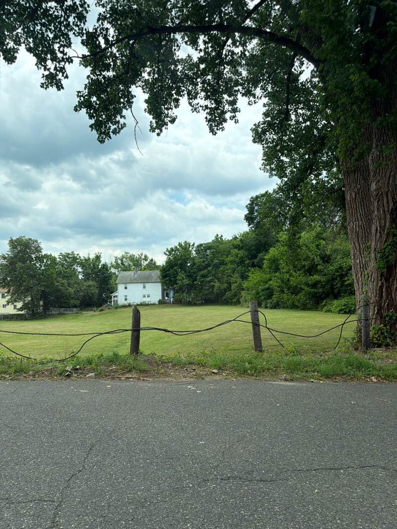 walking near me in Pine Lot Fields in summer