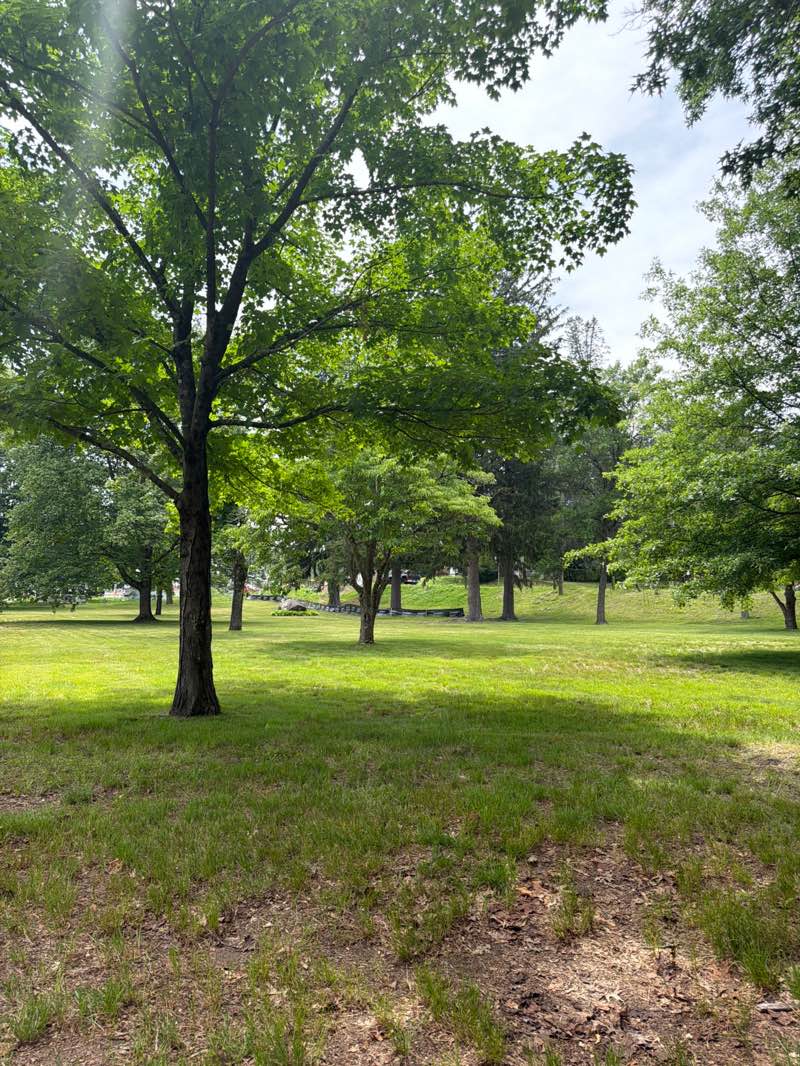 walking near me in Town Green/Baldwin Park in summer