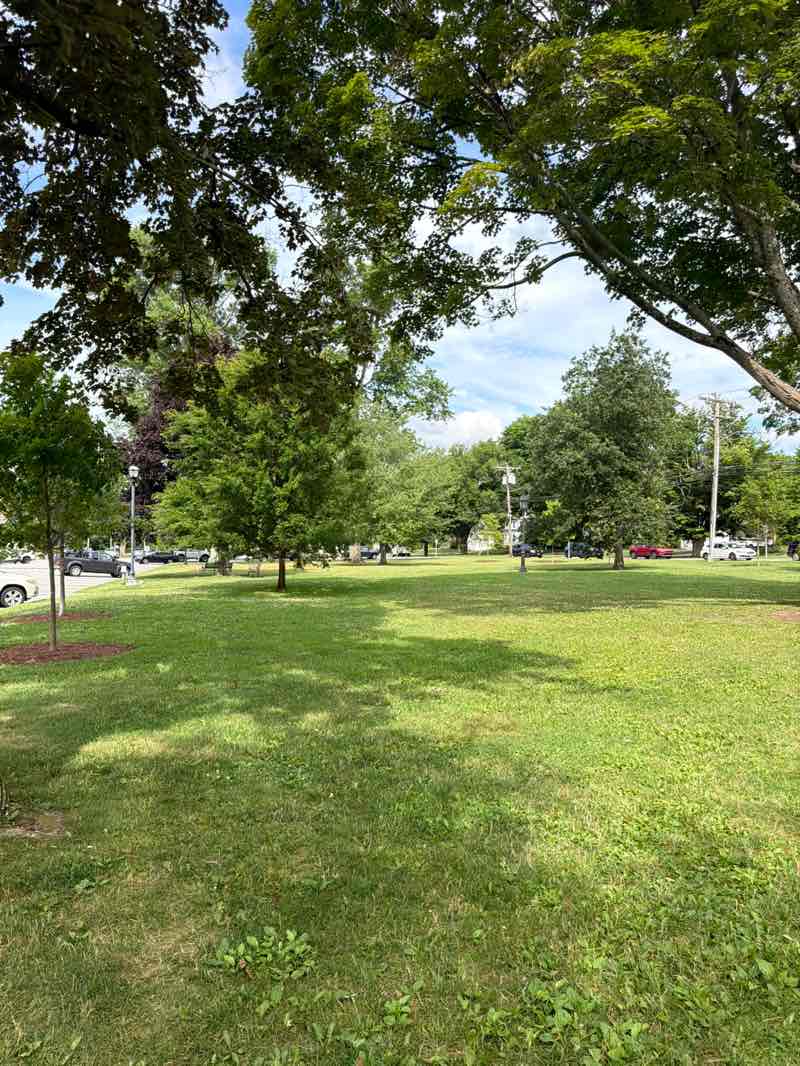 walking near me in Litchfield Town Green in summer