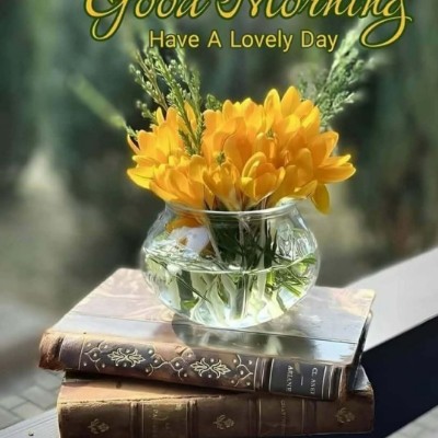 Mohali Masters Vibha post image