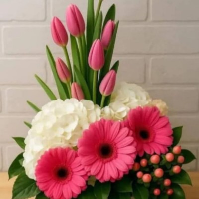 Mohali Masters Vibha post image