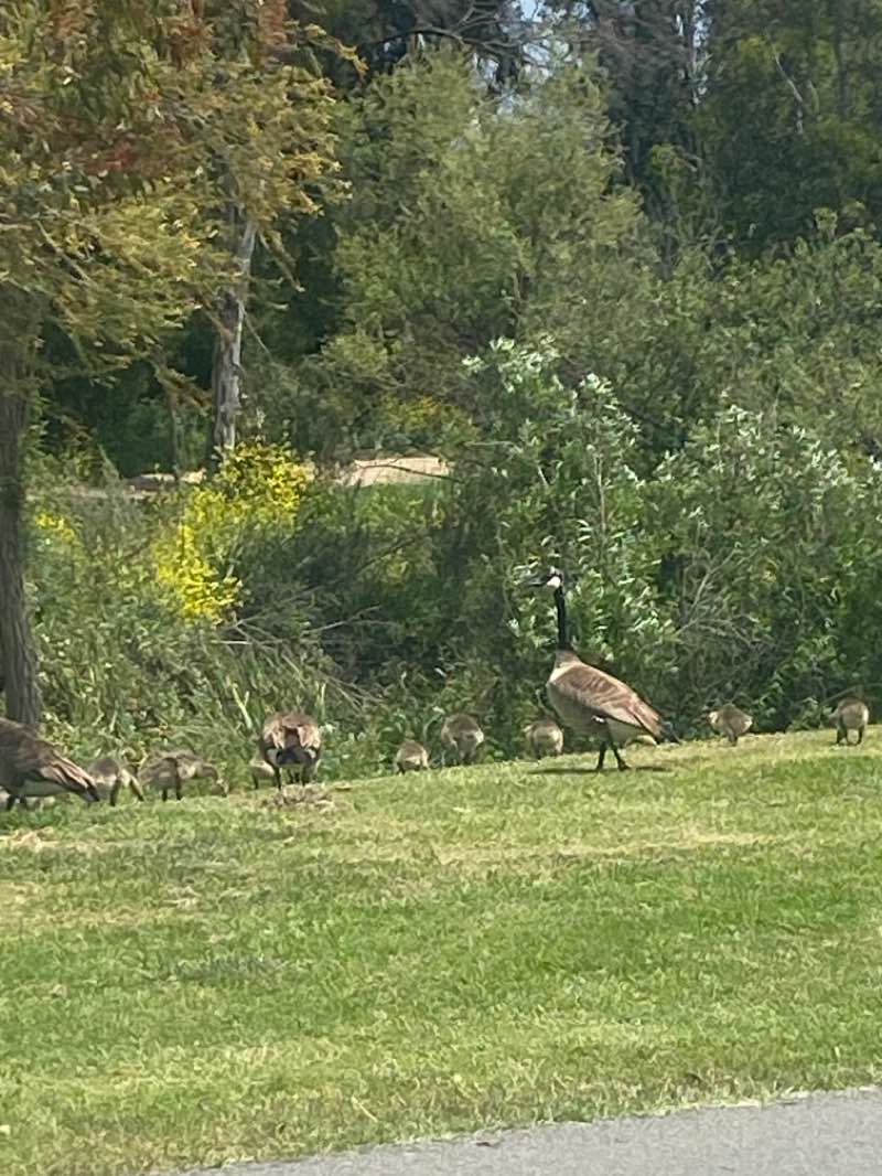 walking near me in Clipper Cove Park in winter