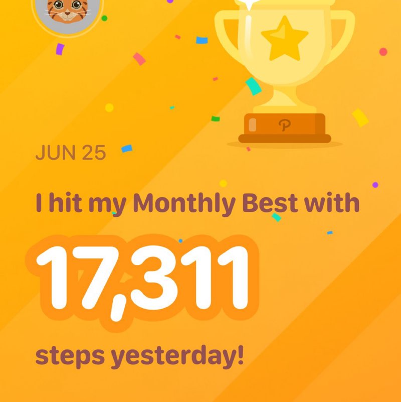 norma_g35 post 1