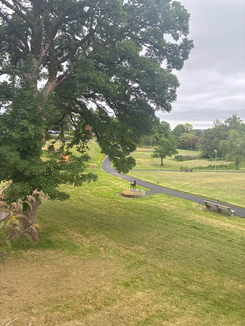 walking near me in Parnell National Memorial Park in summer