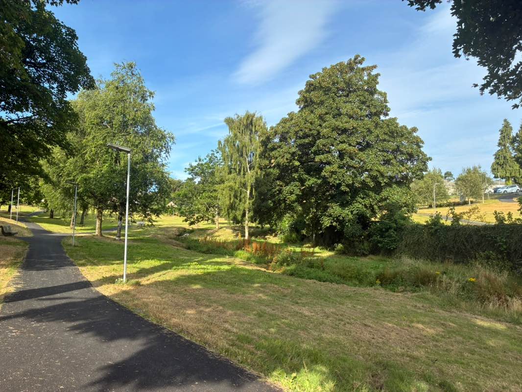 walking near me in Parnell National Memorial Park in summer