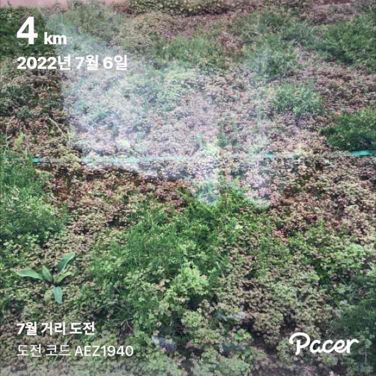 다시 해 보자 post 1