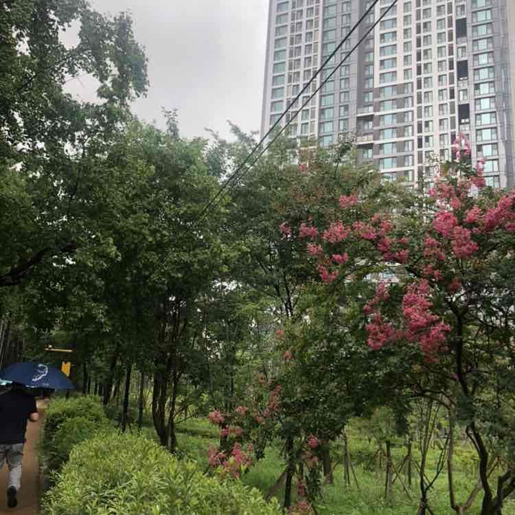 다시 해 보자 post 1